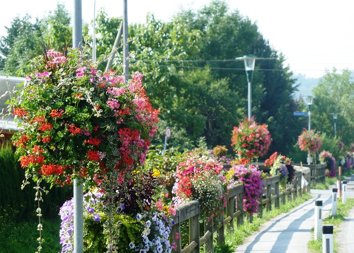 Blumen, Brücke, Riegersdorf, Frühling/Sommer | © Gemeinde Großwilfersdorf