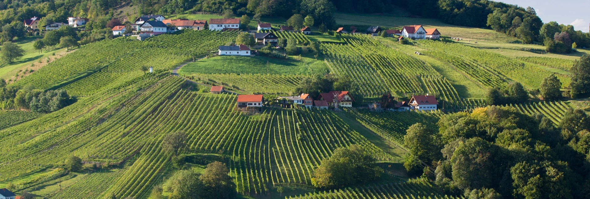 Wanderung Etappe 34 Vom Gletscher zum Wein Nordroute Bad Gleichenberg - Klöch - Touren-Impression #1 | © (c) Steiermark Tourismus