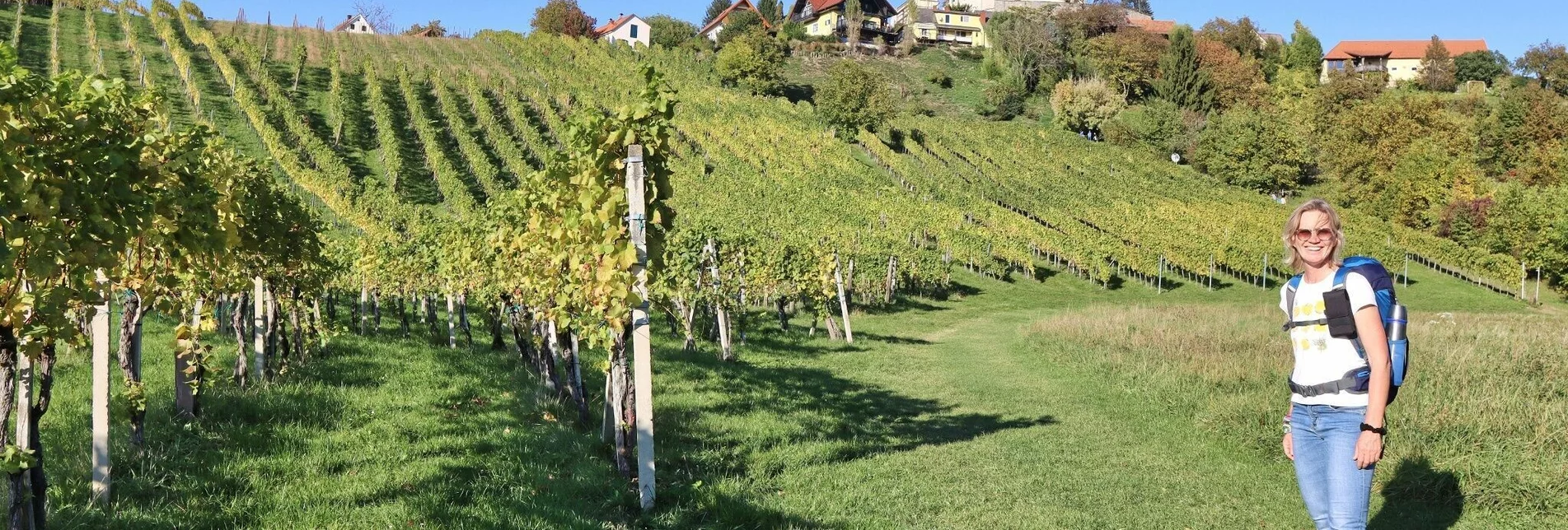 Hiking route Wine trail of the senses (Weinweg der Sinne) in St. Anna - Touren-Impression #1 | © Weges OG