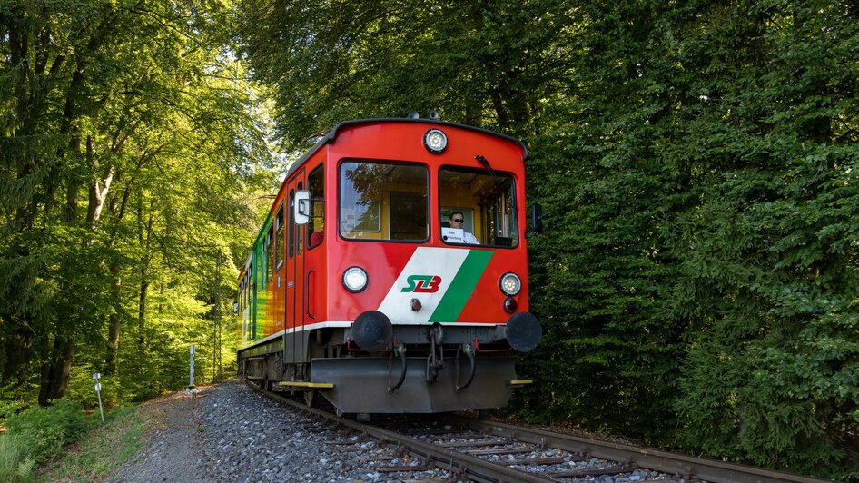Gleichenberger Bahn im Wald | © StB - Harry Schiffer