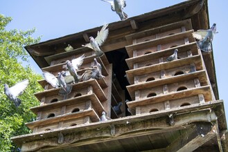 pigeon coop in the Thermenpark | © Kurkommission Bad Blumau